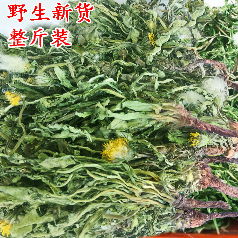 蒲公英草药野生整根正品茶特级带花株干货中草药材斤新鲜草浦公英