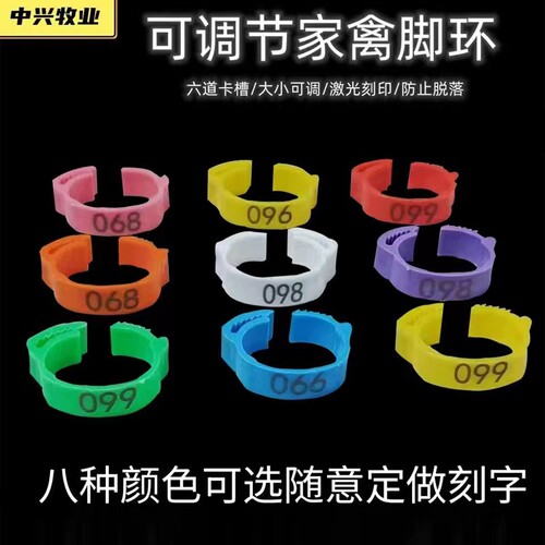 中兴牧业家禽多色可选区分家禽