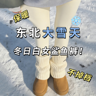千金白色加绒打底裤女冬外穿东北鲨鱼裤无尴尬线瑜伽棉裤雪地穿搭