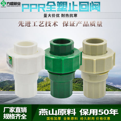PPR止回阀活接头20 4分25 6分32 40 50 63水管管材管件配件
