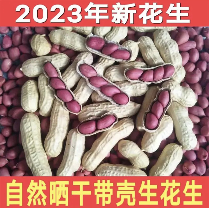 带壳红皮花生煲汤佐料农家新鲜红衣花生米2024生四粒红散装新货