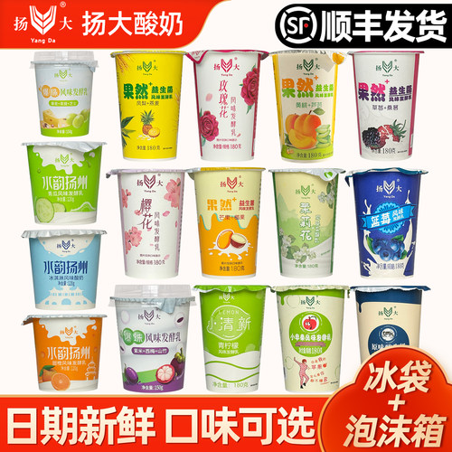 扬大酸奶产地直发口味可选