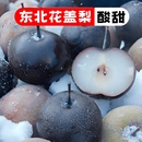 东北冻梨花盖梨冻秋梨孕妇零食酸爽可口大黑梨无渣多汁