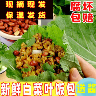 打饭包大白菜叶东北蘸酱蔬菜即食新鲜现摘饭包绿菜叶送农家酱