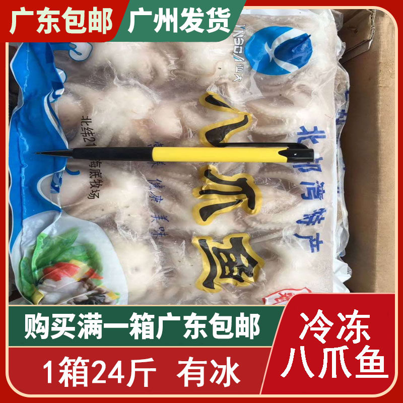 北部湾小章鱼 八爪鱼仔 板冻八爪鱼鲜活 特产冰鲜 1件12包24斤