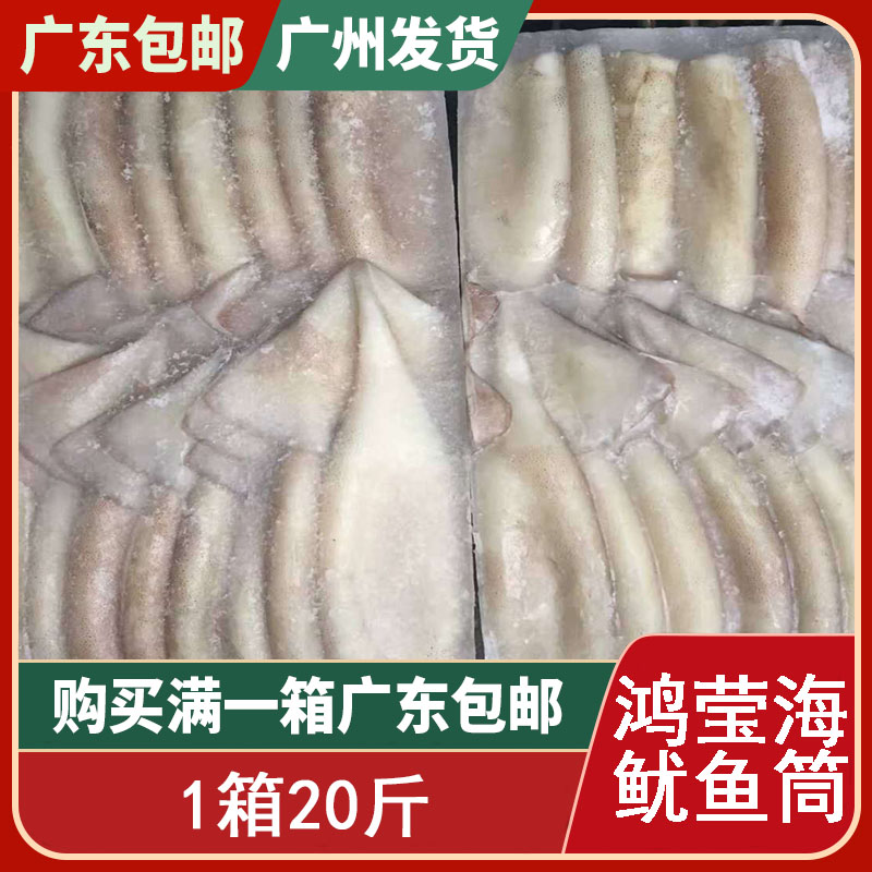 鱿鱼筒批中号冰鲜鱿鱼筒冰冻鱿鱼筒冷冻鱿鱼筒一件20斤 5成左右图片