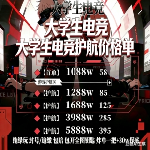 暗区突围无限PC 护航