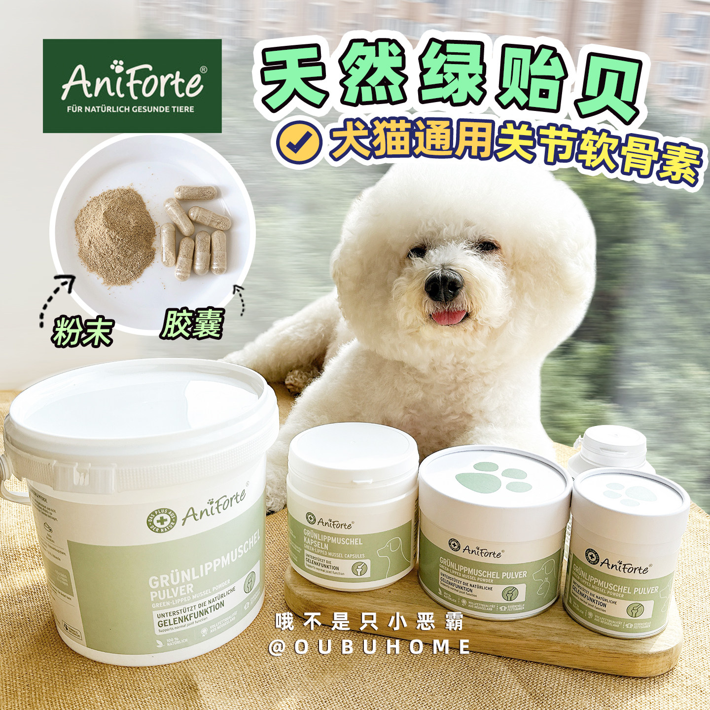aniforte宠物关节软骨素绿贻贝粉图片