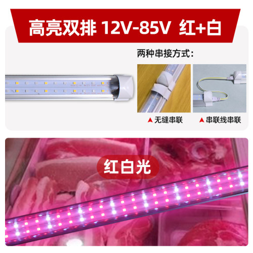 12V24VT8LED光管48V长条灯管三轮车充电灯地摊光管夜市照明灯双排