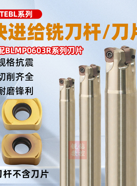快进给铣刀杆TEMBL高速粗铣刀盘BLMP0603R-M特固克通装双面铣刀片