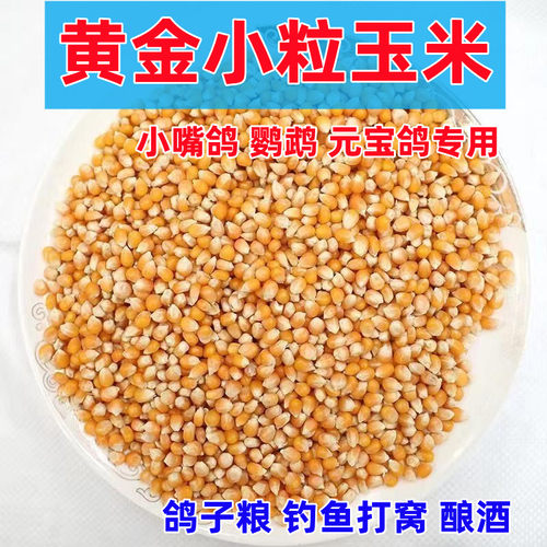 元宝鸽小嘴鸽鸽专用粮黄金玉米粒