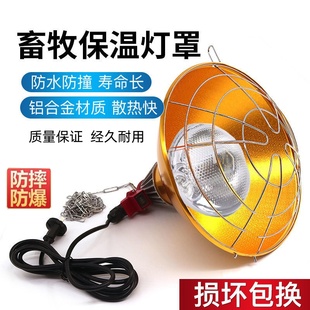 母猪产床保温灯灯罩养殖取暖灯泡猪用仔猪加热灯红外线养殖猪场鸡