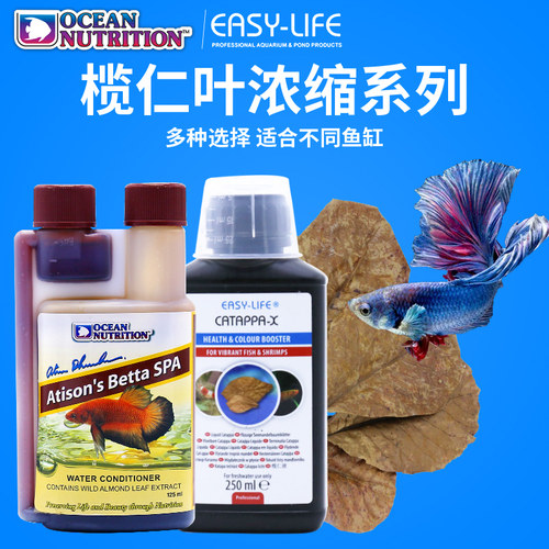 不黄水防烧尾强免疫力液态榄仁叶