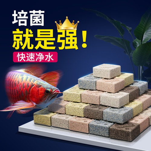 sqg净化水质快速培养硝化细菌