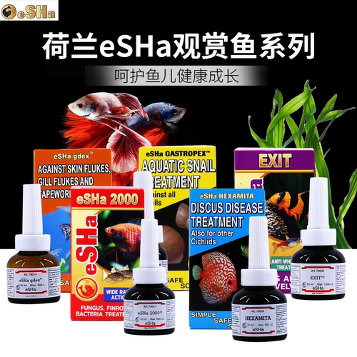 荷兰鱼医生艾莎esha2000/EXIT