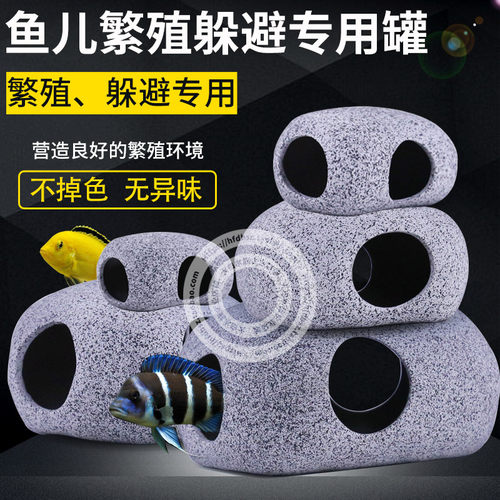 三湖鲷罐鱼缸繁殖迷你鹦鹉躲避