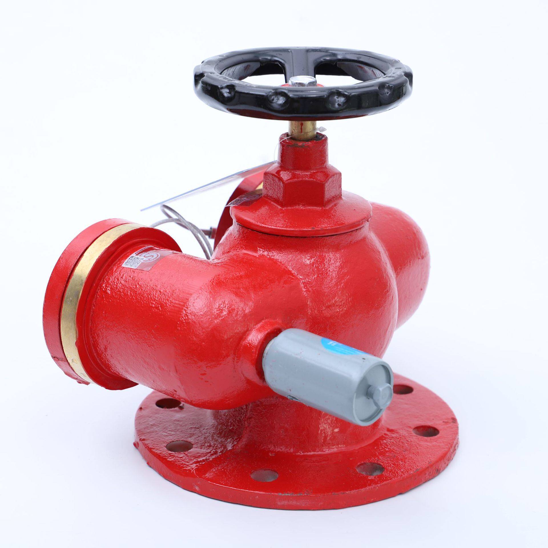 sqd100-1.6多功能水泵接合器 新型水泵结合器150消防水泵结合器