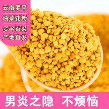 云南食用油菜花粉纯正天然农家自产新鲜无破壁正品罗平蜂花粉500g