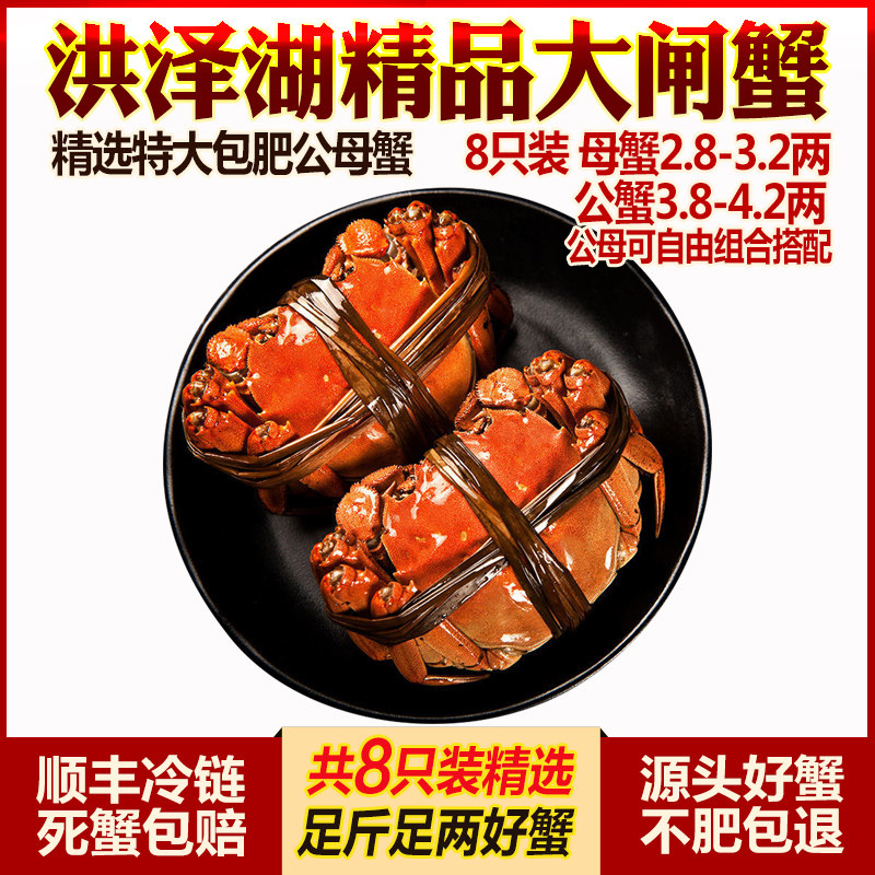 现货公母蟹洪泽湖大闸蟹鲜活螃蟹精选特大清水湖蟹海鲜水产礼盒装|msdalam kategori daging perikanan/Buah-buahan segar dan sayur-sayuran/dimasak, makanan laut/produk akuatik/produk, ketam, ketam - dari Buy2taobao.com untuk memberikan perkhidmatan ejen Taobao profesional membeli