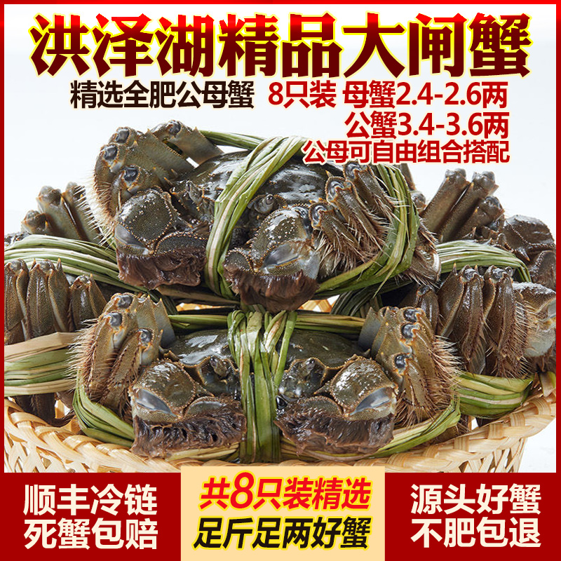洪泽湖大闸蟹足斤足两满黄全母蟹
