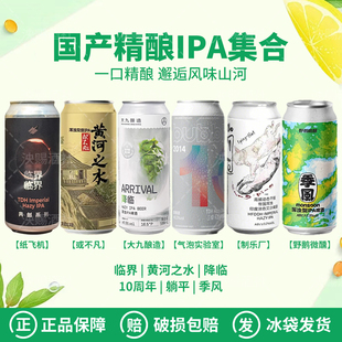 国产精酿IPA集合纸飞机临界大九酿造或不凡制乐厂野鹅微醺啤酒