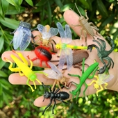 仿真彩色昆虫套装 幼儿园儿童玩具迷你小蚂蚁蜻蜓瓢虫静态动物模型