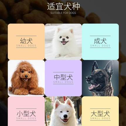 通用型牛肉狗粮泰迪金毛比熊中型小型成犬幼犬2.5kg代发爆款