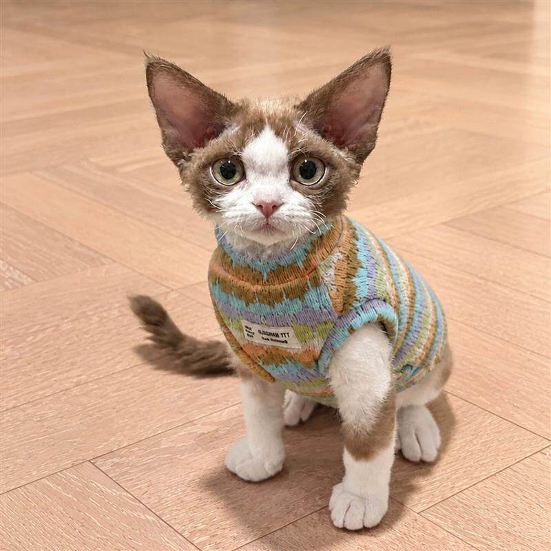 猫咪衣服德文猫秋冬保暖小毛衣小型犬狗狗比熊防掉毛防着凉家居服