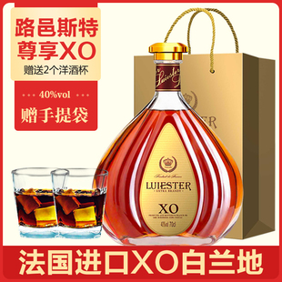 路邑斯特白兰地法国进口XO洋酒brandy送洋酒杯礼盒40度烈酒700ml