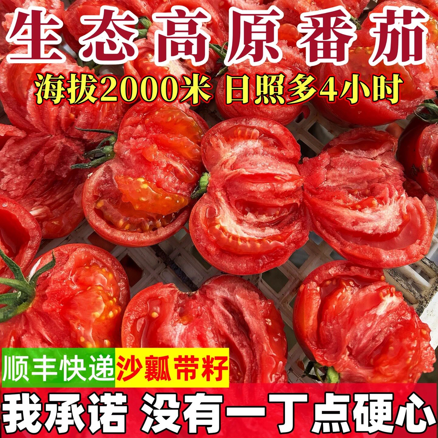 老品种【京东/顺丰上门】攀枝花番茄生吃西红柿 新鲜水果蔬菜5斤