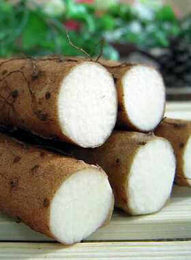 中果30cm左右正宗陈集铁棍山药山东特产农家垆土铁杆淮山药3斤5斤