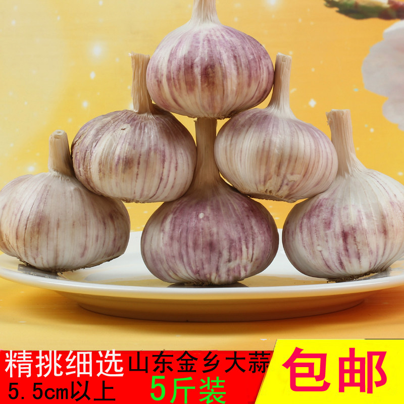 5cm山东金乡紫皮大蒜头5斤装低价包邮干蒜头大蒜子