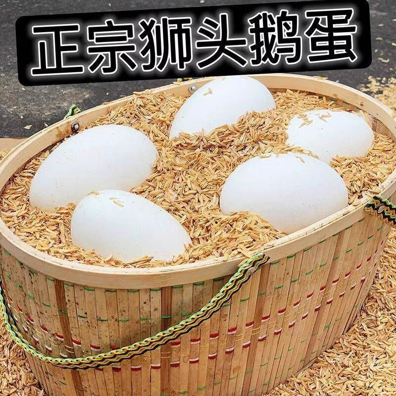 鹅蛋狮头鹅孕妇农家散养去胎毒新