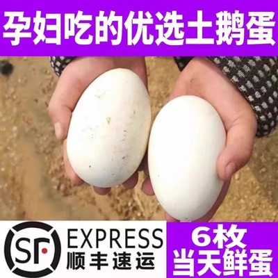 鹅蛋新鲜微山湖纯农家散养天然土鹅蛋孕妇去胎毒初生蛋100~120g顺