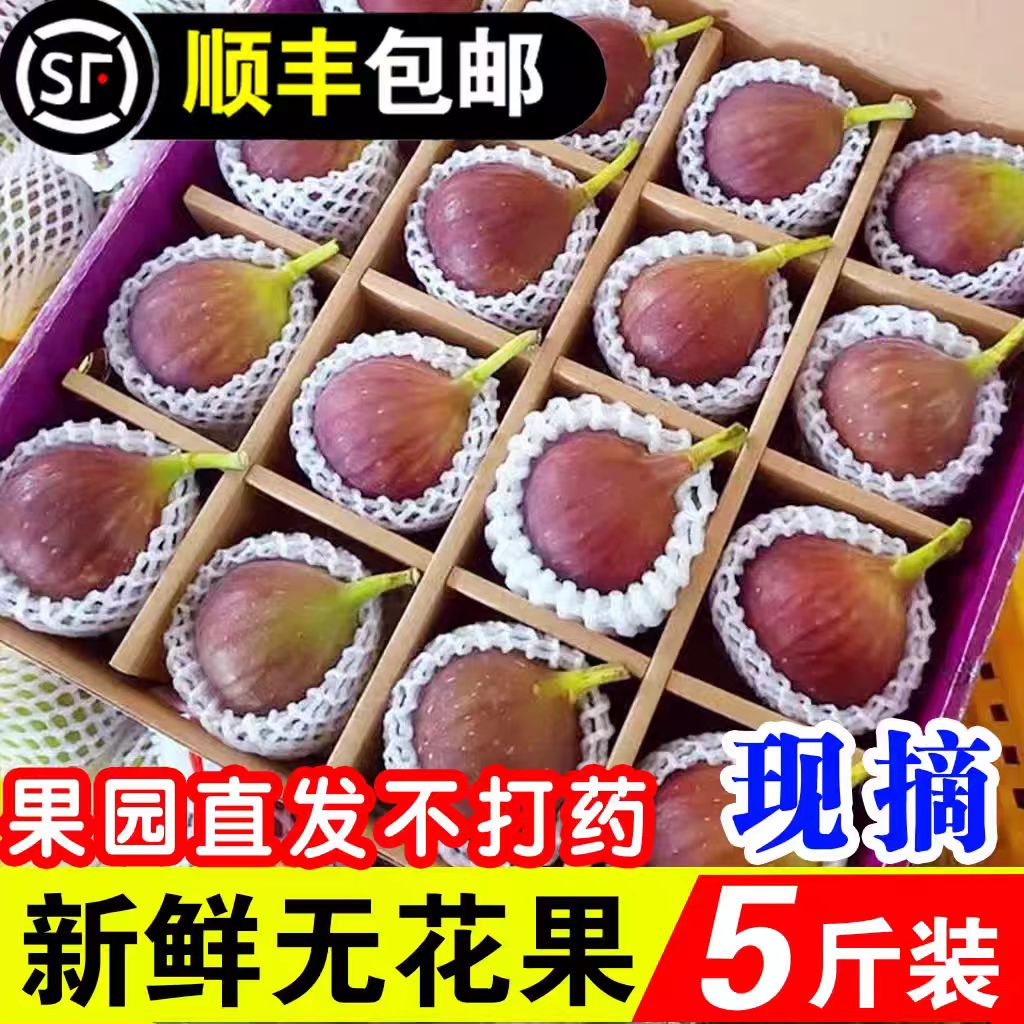 【顺丰冷链】无花果鲜果新鲜现摘水果青红皮大果特级当季整箱包邮