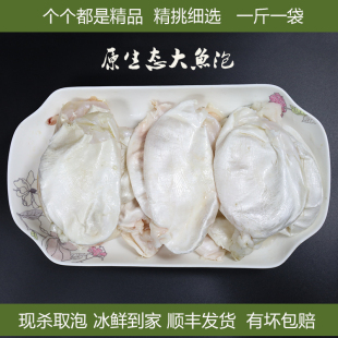 新鲜大鱼泡胖头鱼花鲢鱼鳔鱼胶花胶冰冻鱼杂鱼宝超大鱼肚2斤包邮