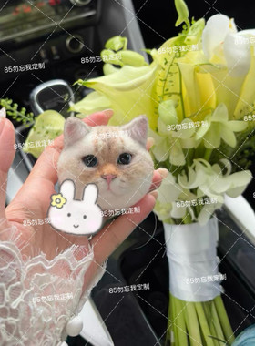 羊毛毡纯手工定制猫猫狗狗布偶美短英短宠物胸花胸针专属定制diy