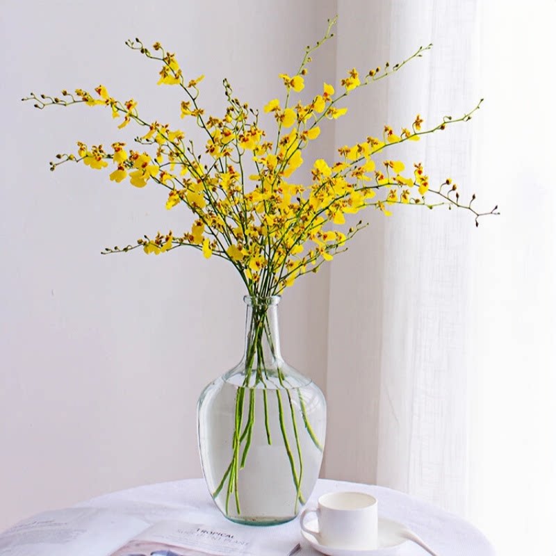 跳舞兰鲜切花文心兰黄色家庭办公室插花昆明基地直发顺丰包邮