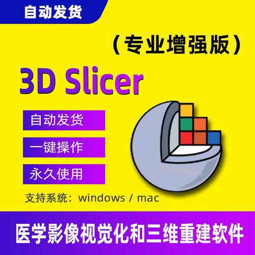 3D Slicer医学图像三维可视化分析特征提取重建配准成像软件工具