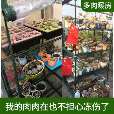 阳台庭院温室花房暖房室外花架多肉芽苗菜育苗保温棚冬防雨保暖棚