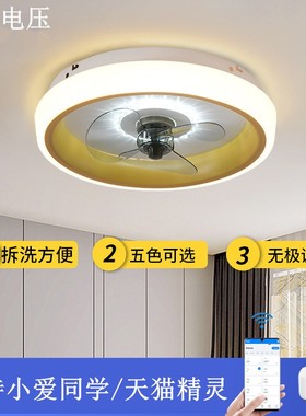Export 110V ceiling fan light Taiwan bedroom living room跨境