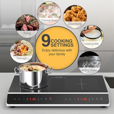 Cross border110Vdual head induction cooker, American跨境出口