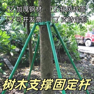树木扶正器支撑固定造型神器镀锌钢管架园林绿化大树防风倒杆苗支