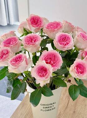 红色高原红瑰鲜花云南昆明基地直发同城速递多头泡泡情人节