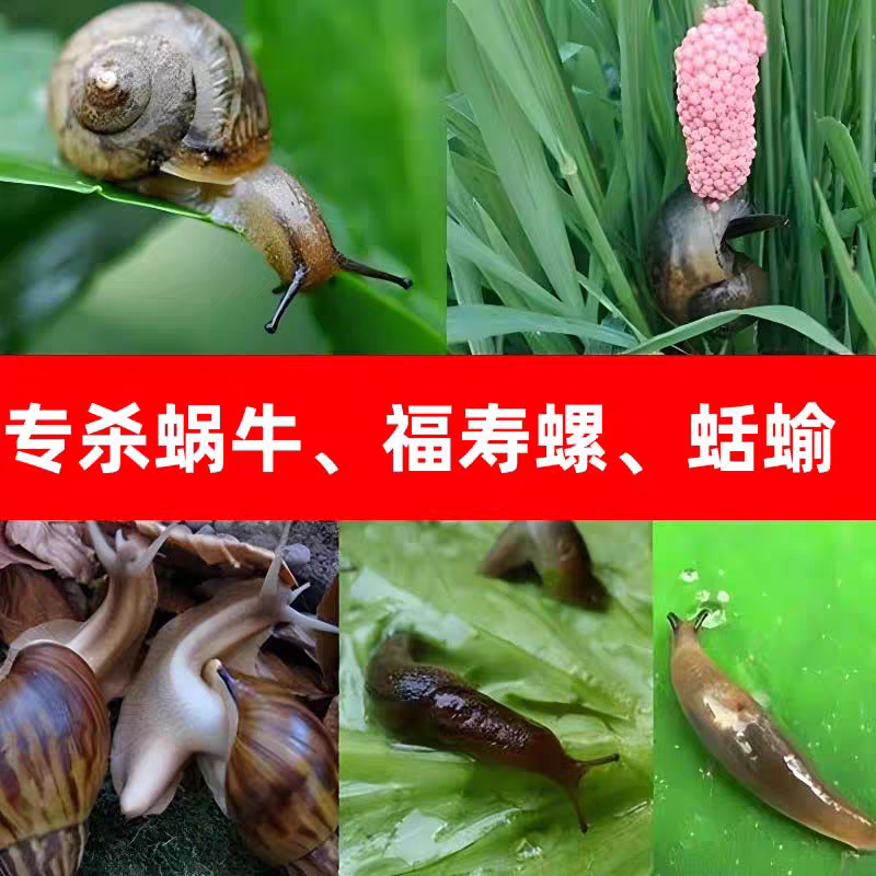 鼻涕虫专用药粉厨房杀虫剂家用杀蜗牛驱蛞蝓治灭克鼻涕虫星卫生间