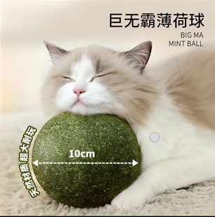 猫薄荷球超大10cm巨无霸超大号猫薄荷虫瘿果清新口气猫咪玩具