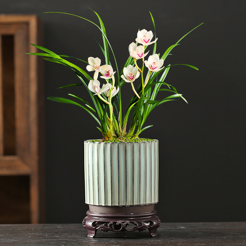 创意紫砂花盆带托盘高档陶瓷室内桌面兰花吊兰蝴蝶兰绿植多肉盆器,鲜花速递/花卉仿真/绿植园艺,花盆,淘宝优惠券,粉丝福利购,淘宝优惠卷