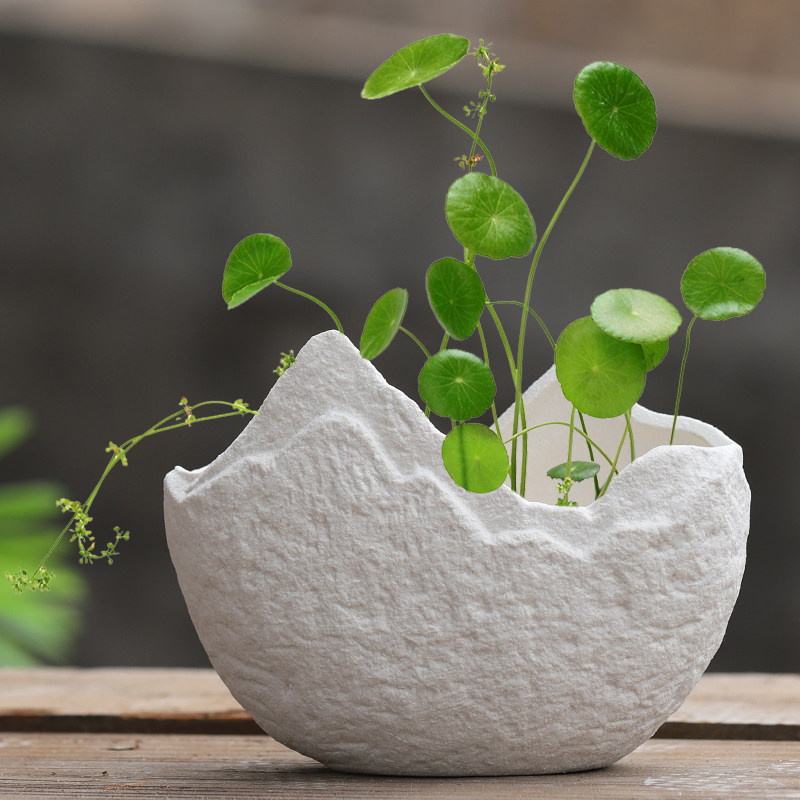 水培花盆陶瓷无孔创意铜钱草金钱草水养植物器皿家居创意碗莲碗莲,鲜花速递/花卉仿真/绿植园艺,花盆,淘宝优惠券,粉丝福利购,淘宝优惠卷