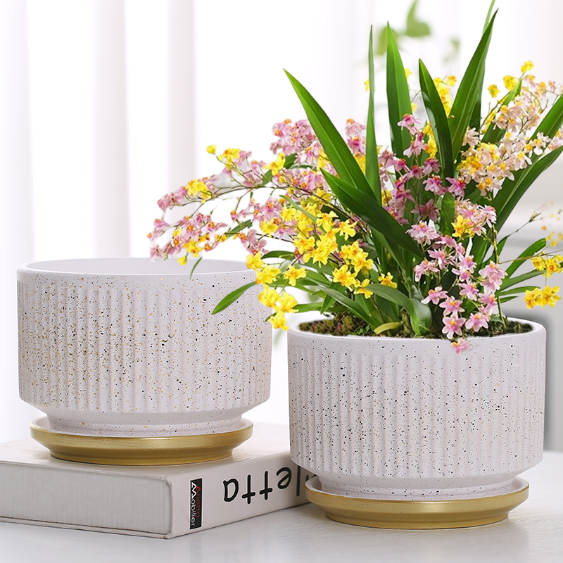 蝴蝶兰花盆陶瓷特价大号特大号大口径带托盘轻奢非塑料兰花多肉盆