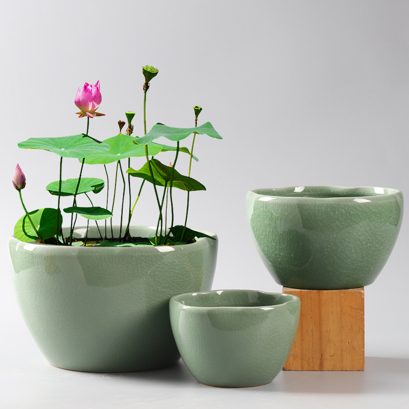 水培花盆无孔荷花缸铜钱草睡莲碗莲专用水仙绿萝水养植物大号特价